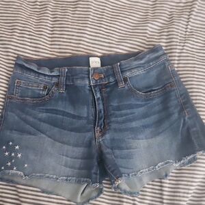 J. Crew Blue Jean Shorts with Distressed Hem